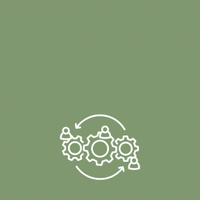 Projektsteuerung und Qualitätssicherung